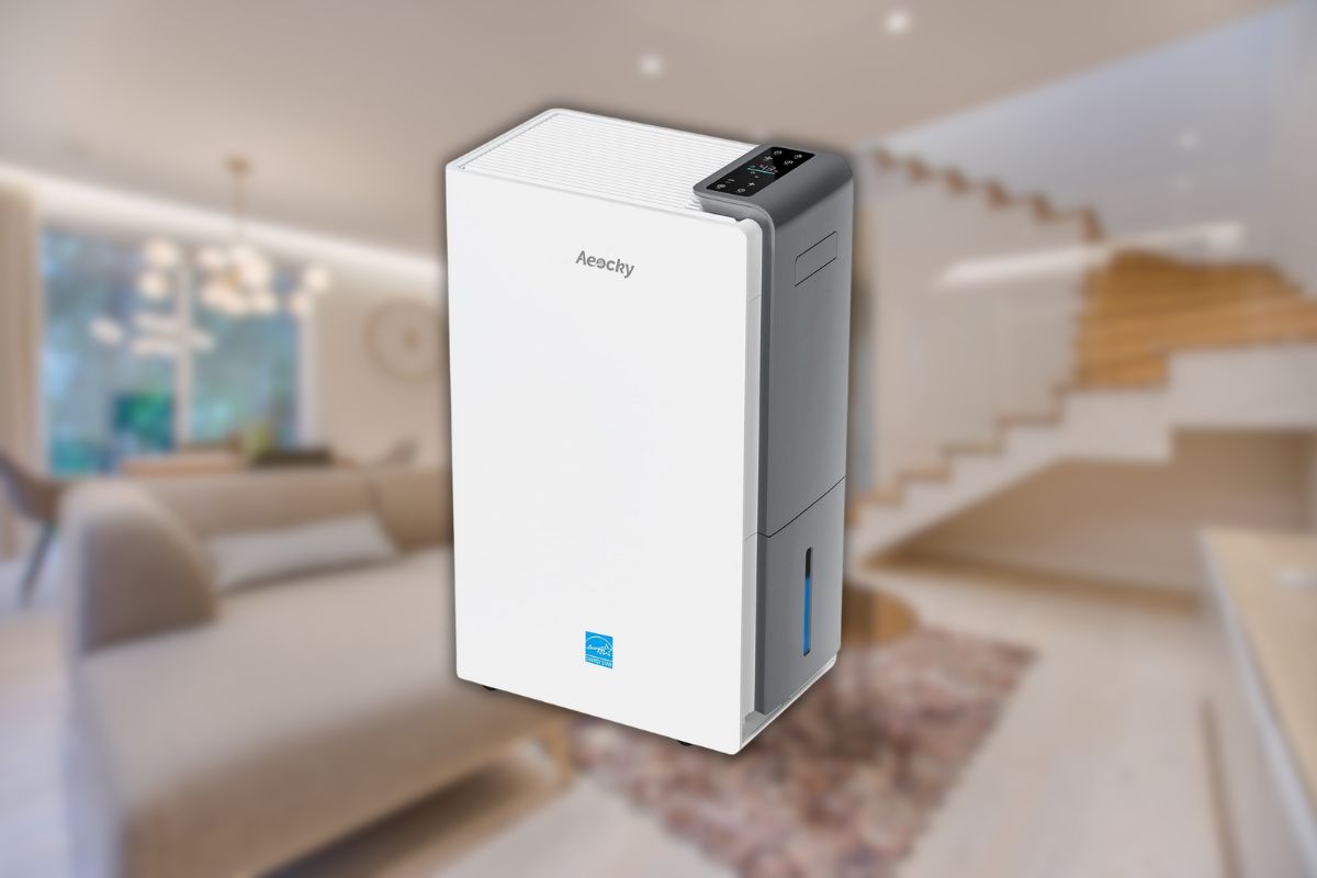 Protect Your Home from Mold with the AEOCKY Dehumidifier