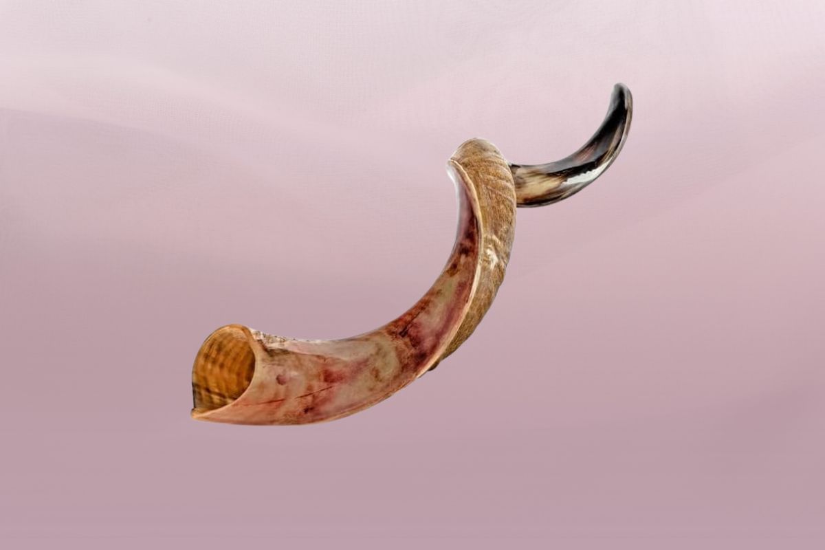 Spiritual Power Meets Craftsmanship: Kosher Kudu Shofar Made in Israel