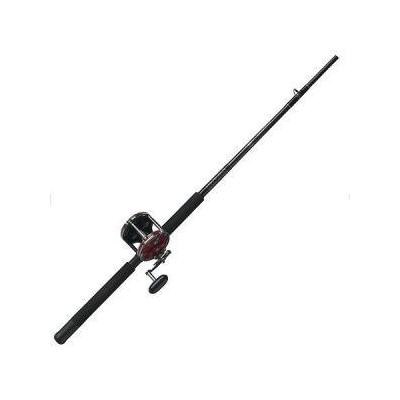 Penn Special Senator Conventional Saltwater Combos 114h2 Combo,