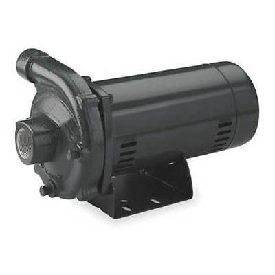 Dayton Cast Iron 2-1/2 HP Centrifugal Pump 230V, 4RJ69