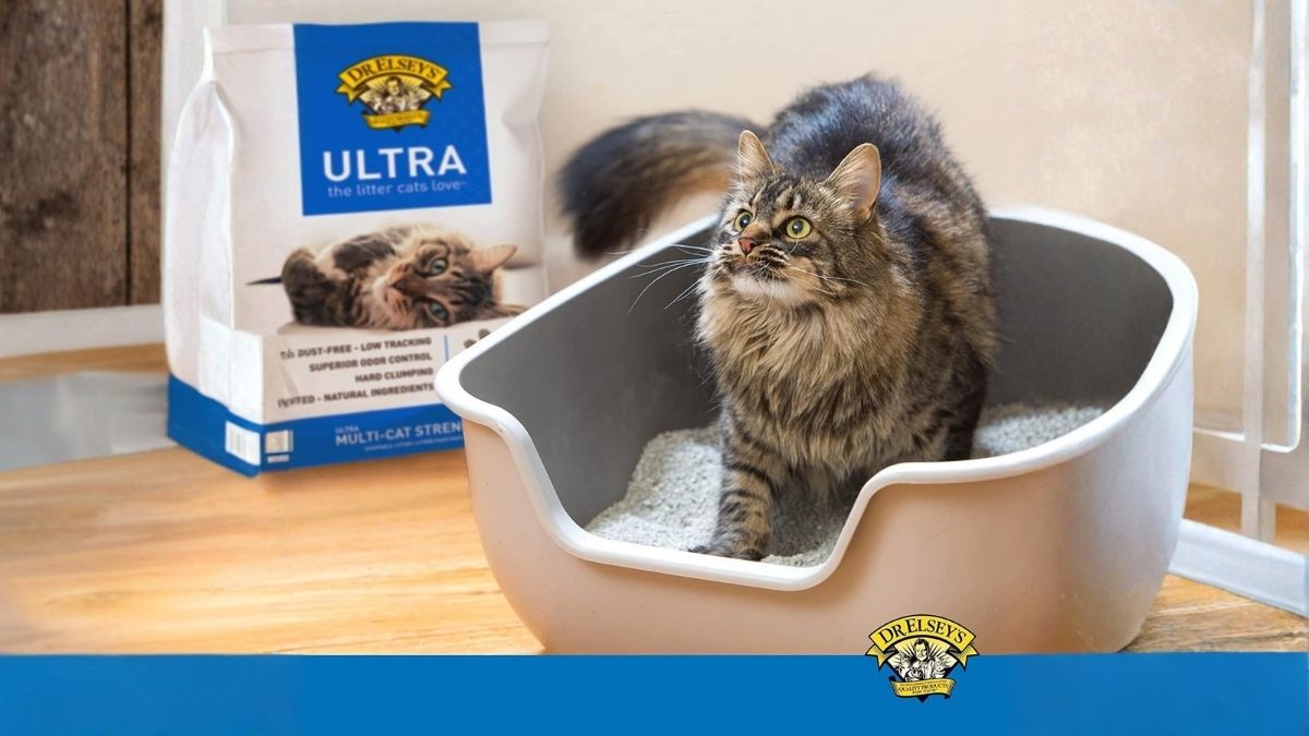 Dr. Elsey’s Ultra Unscented Cat Litter 40 lb: A Clumping Clay That Truly Delivers